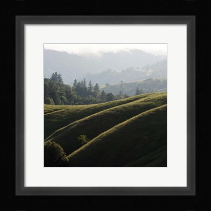Framed Rolling Fog and Rolling Hills Print