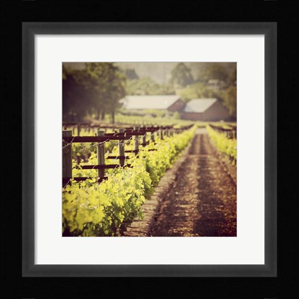 Framed New Vintage Print