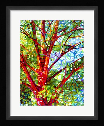 Framed Summer Medley Print