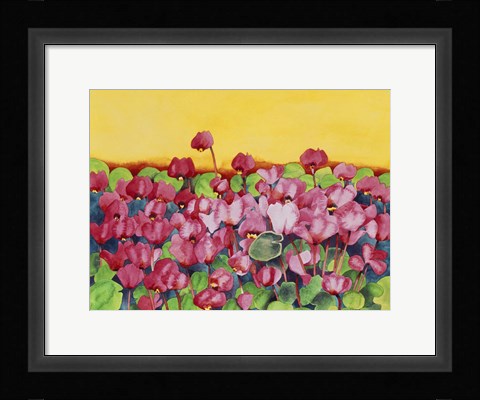 Framed Pink Cyclamen Print