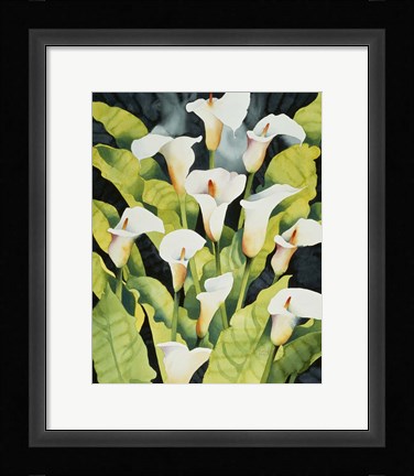 Framed Midnight Callalilies Print