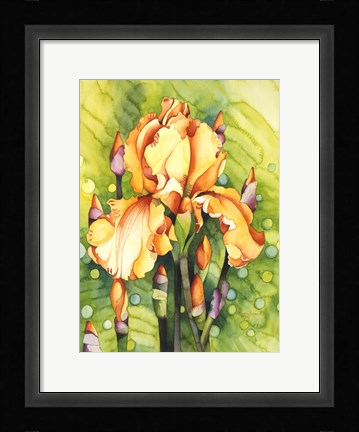 Framed Yellow Iris Print