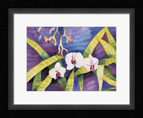 Framed Water Orchids Print