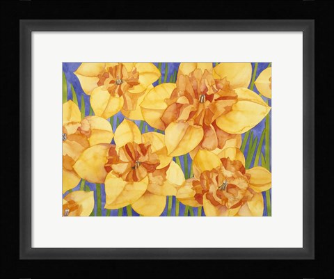 Framed Yellow Daffodils Print