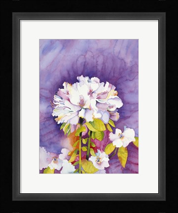 Framed Moonflower Print