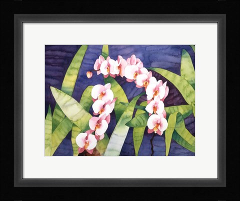 Framed Sacred Orchids Print