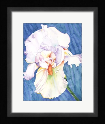 Framed White Iris Print