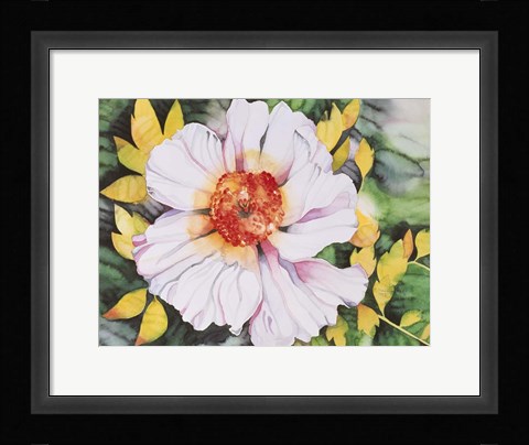 Framed New Poppy Print