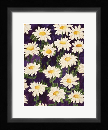 Framed Shasta Daisies Print