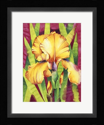 Framed Yellow Iris W/ Maroon Back Print