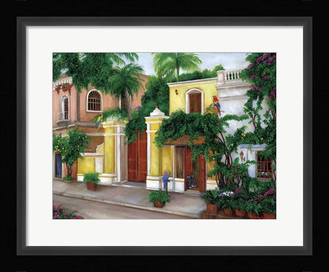 Framed Hacienda Parrots Print