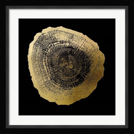 Framed Gold Foil Tree Ring IV on Black Print