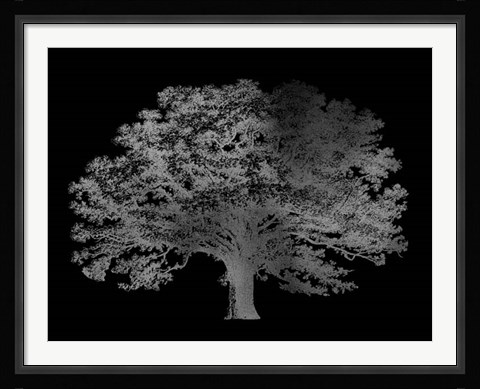 Framed Silver Foil Elephant Tree on Black Print