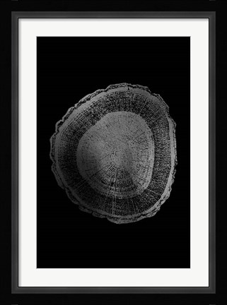 Framed Silver Foil Tree Ring I on Black Print