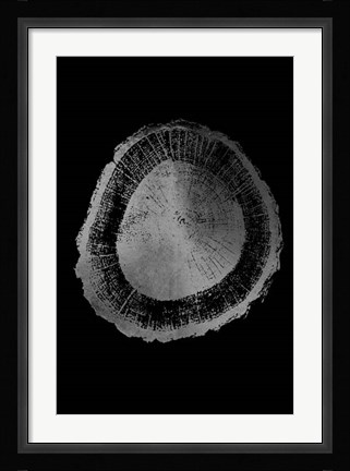 Framed Silver Foil Tree Ring II on Black Print