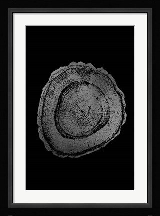 Framed Silver Foil Tree Ring III on Black Print