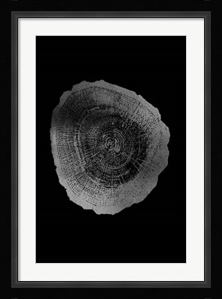 Framed Silver Foil Tree Ring IV on Black Print
