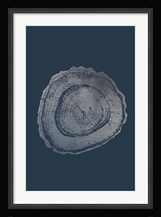 Framed Silver Foil Tree Ring III on Cobalt Print