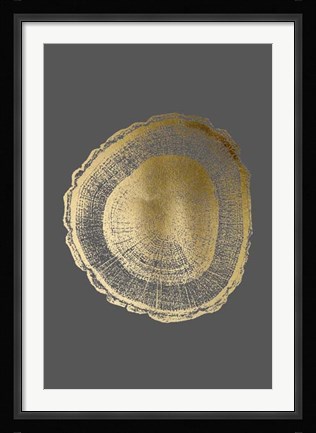Framed Gold Foil Tree Ring I on Dark Grey Print