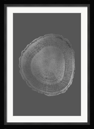 Framed Silver Foil Tree Ring I on Dark Grey Print
