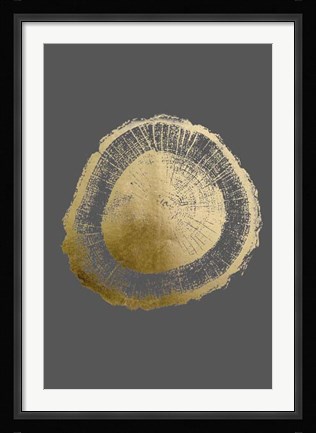 Framed Gold Foil Tree Ring II on Dark Grey Print