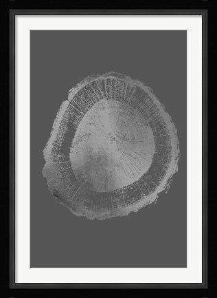 Framed Silver Foil Tree Ring II on Dark Grey Print