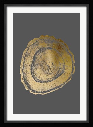 Framed Gold Foil Tree Ring III on Dark Grey Print