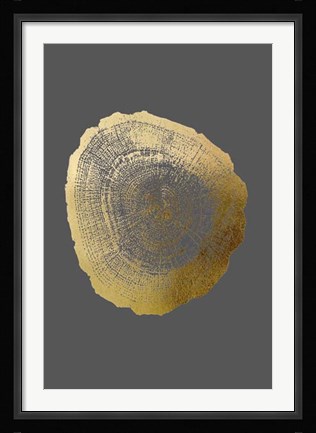 Framed Gold Foil Tree Ring IV on Dark Grey Print