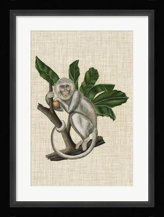 Framed Canopy Monkey II Print