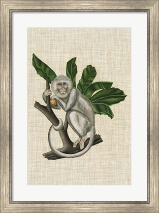 Framed Canopy Monkey II Print
