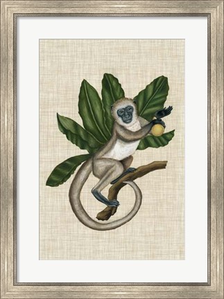 Framed Canopy Monkey III Print