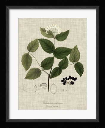 Framed Linen &amp; Leaves I Print