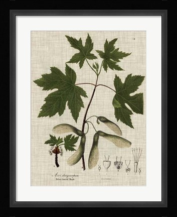 Framed Linen &amp; Leaves II Print