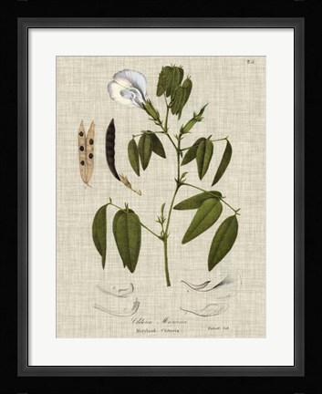 Framed Linen &amp; Leaves IV Print