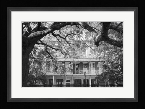 Framed Jackson Square, New Orleans Print