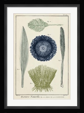 Framed Ocean Oddity II Print