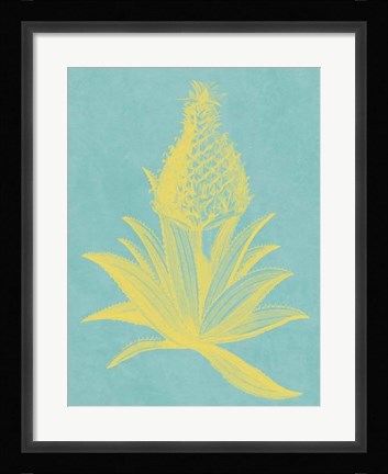 Framed Pineapple Frais I Print