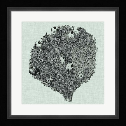 Framed Serene Coral IV Print