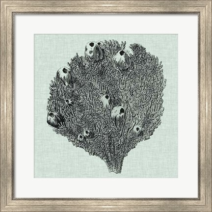 Framed Serene Coral IV Print