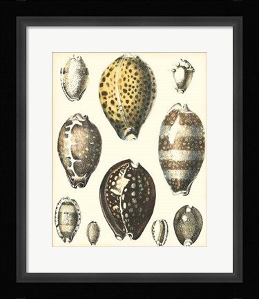 Framed Of Sea and Shore I Print