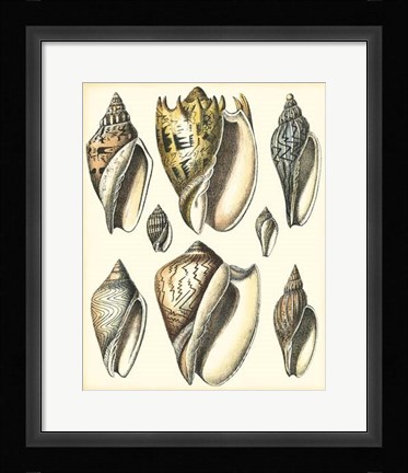 Framed Of Sea and Shore II Print