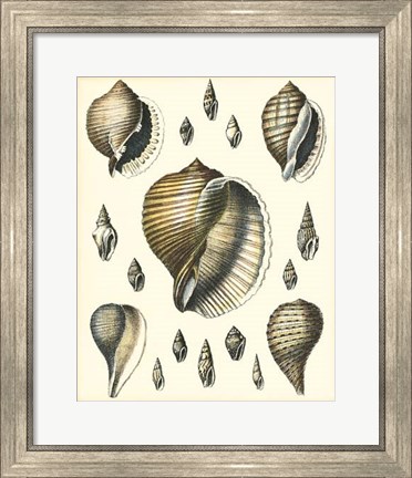 Framed Of Sea and Shore IV Print
