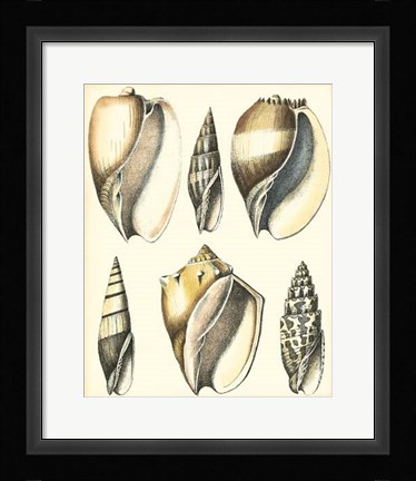 Framed Of Sea and Shore V Print