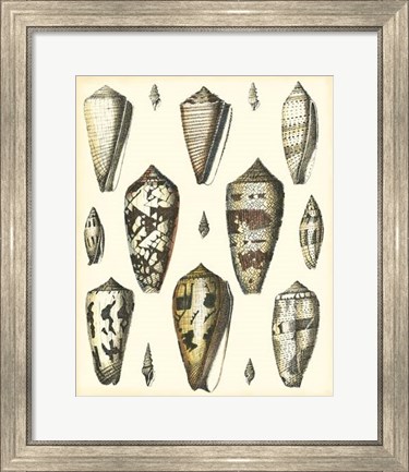 Framed Of Sea and Shore VI Print
