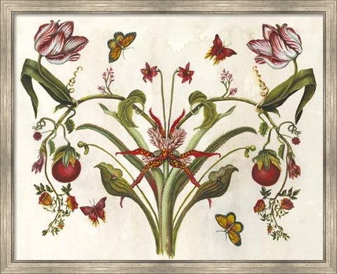 Framed Botanical Hybrid II Print
