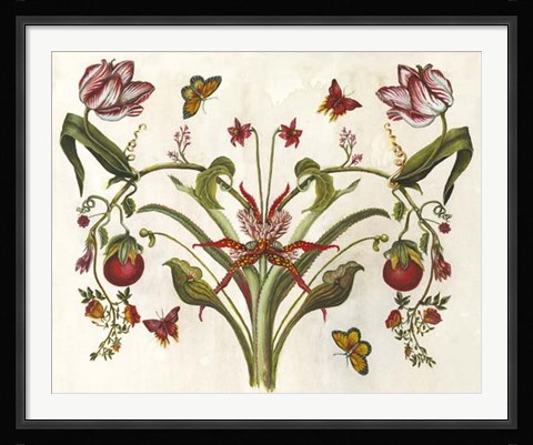Framed Botanical Hybrid II Print