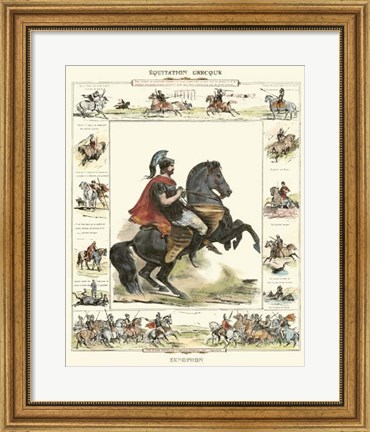 Framed Equestrian Display I Print