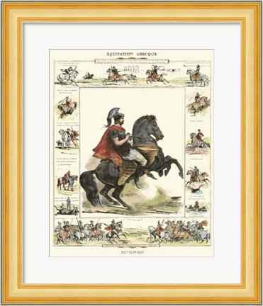 Framed Equestrian Display I Print