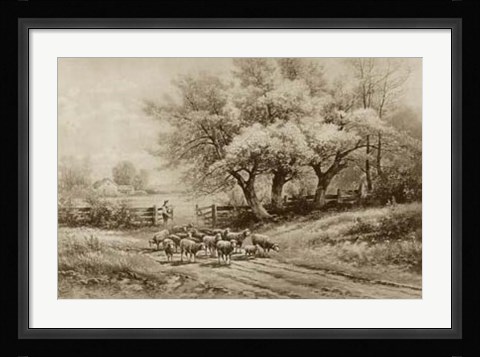 Framed Herding Sheep Print