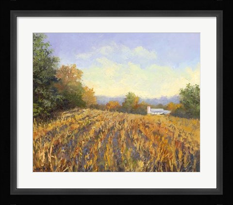 Framed Corn Rows Print